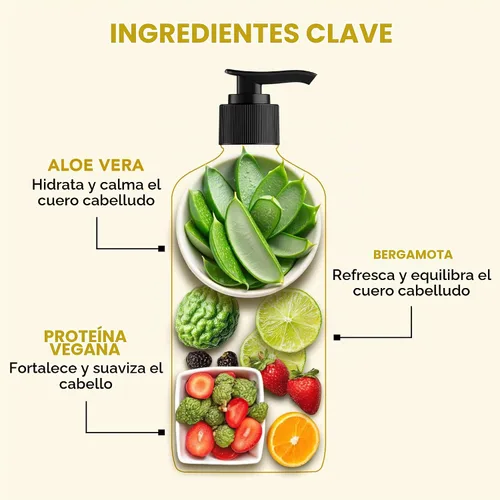 Vista 2 de Botanic Hearth Champú de Aloe Vera Infundido con Bergamota y Proteína Vegana Champú Clarificante para Hidratar, Suavizar y Fortalecer el Cabello