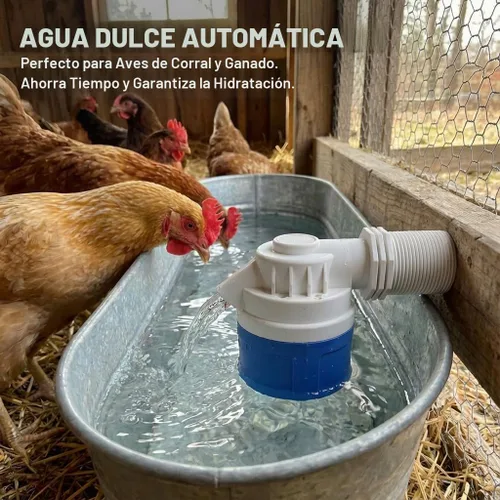 Vista 7 de Válvula de flotador de control automático de nivel de agua de entrada