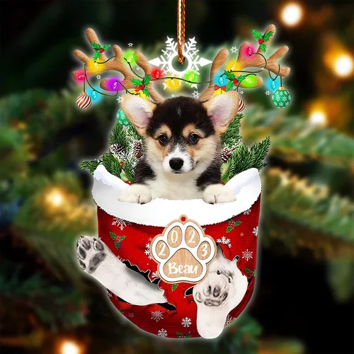 Vista 7 de NAZENTI Adorno Navideño de Bolsillo Personalizado de Affenpinscher en la Nieve, Adorno de Forma Acrílica de Perro, Adorno de Navidad 2023, Adorno