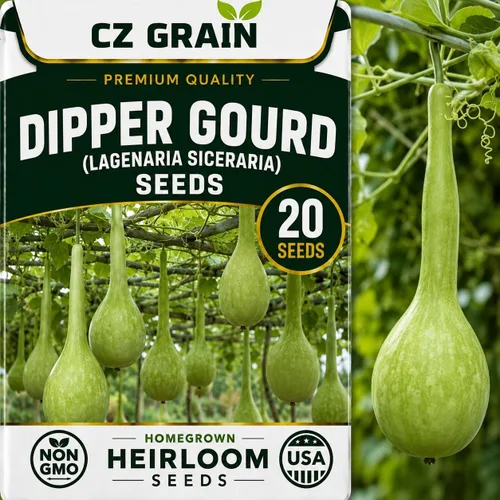 Vista 44 de CZ Grain Semillas para plantar, 40 pequeñas mezclas de calabaza