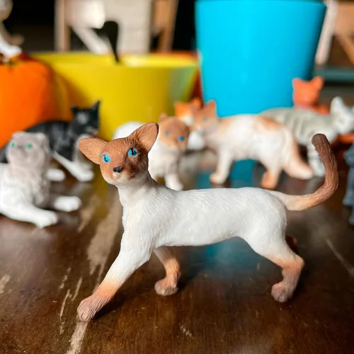Vista 3 de Safari Ltd. Figurines de gatos domésticos, Toob, 11