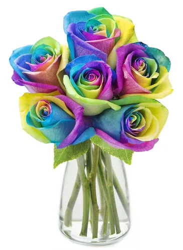 Vista 21 de KaBloom - Rosas arcoíris (media docena)- Flores frescas para cumpleaños, San Valentín y Día de la Madre
