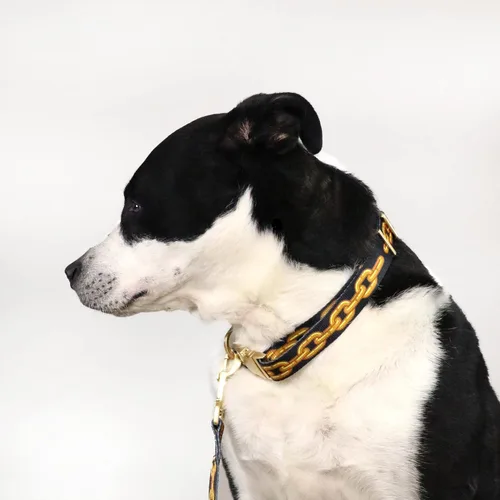 Vista 5 de Snoop Doggie Doggs Collar de lujo para mascotas, fuera de la cadena, pequeño