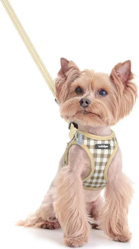 Vista 33 de rabbitgoo Arnés para perro de tamaño pequeño y juego de correa, chaleco Cachorros de manzana