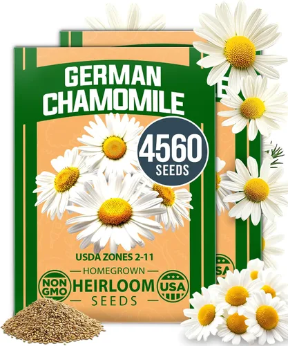 Vista 10 de HOME GROWN - Semillas de zinnia rosadas – 600 Zinnias Luminosa de 0.02 oz, semillas de flores anuales fáciles de cultivar para plantar al aire libre