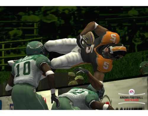 Vista 5 de Arena Football Road to Glory