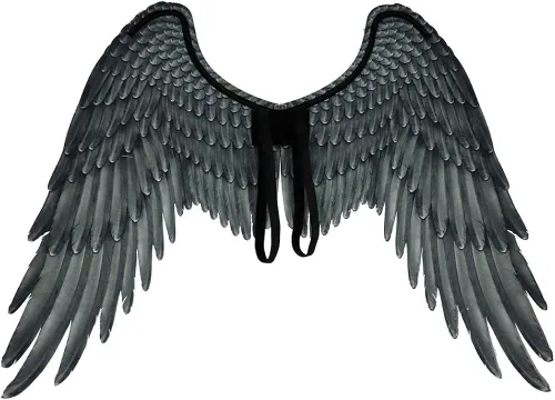 Vista 2 de Cinlan 3D Angel Wings Disfraz de ángel Diablo Big Wing Fancy Dress Cosplay Prop para hombres y mujeres