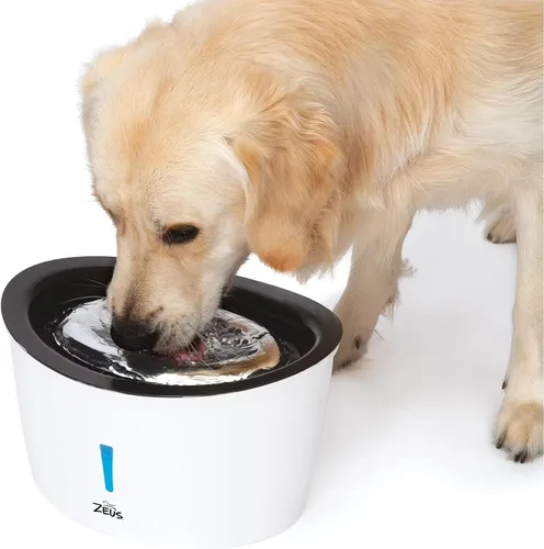 Vista 4 de Zeus Fuente cascada para perros con tapa de acero inoxidable