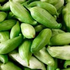 Vista 2 de Nuevas semillas frescas de planta caigua raras 20 piezas Generic