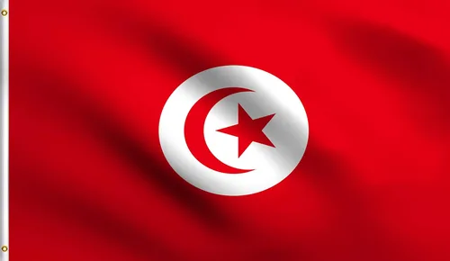 Vista 93 de DMSE - Bandera nacional beninesa beninesa de la República de África Occidental, 2 x 3 pies, 100 % poliéster, 100 % poliéster, resistente a los rayos