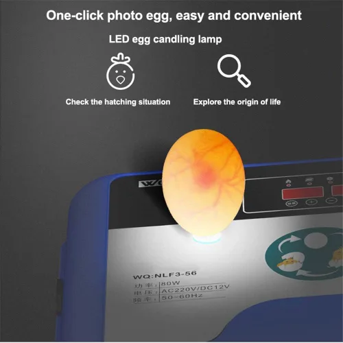 Vista 5 de Incubadora de huevos, incubadoras digitales totalmente automáticas, control automático de temperatura de torneado de huevos, pantalla LED