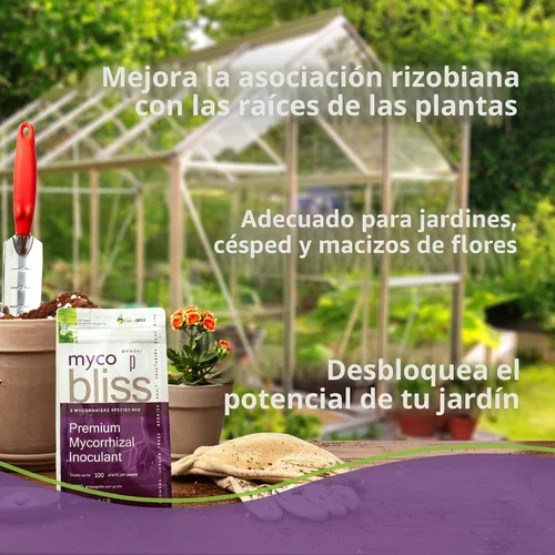 Vista 6 de Myco Bliss mezcla de hongos micorrícicos orgánicos (5 especies de endomicorrizas) para plantas Granular