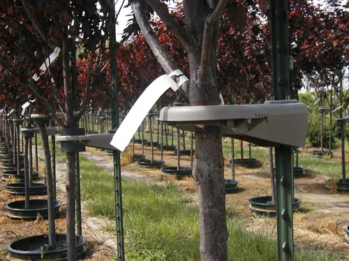 Vista 2 de Soporte de árbol