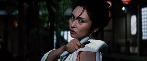 Vista 3 de The Complete Lady Snowblood (The Criterion Collection) [Blu-ray]
