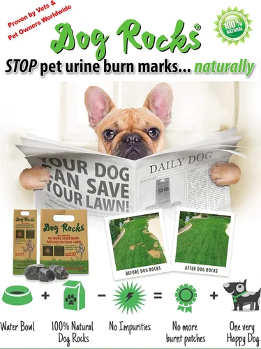 Vista 5 de Dog Rocks Neutralizador de hierba para orina de perro para césped verde en 3-5 semanas Dog Grass Saver Rock Neutralizador de orina 100% natural