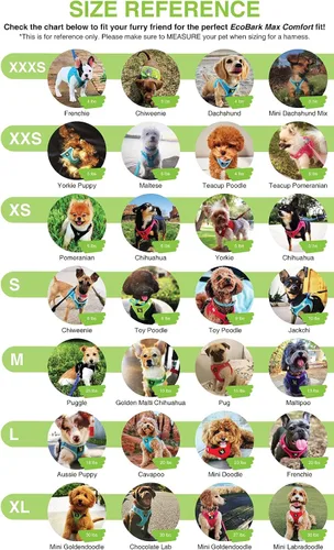 Vista 9 de EcoBark - Arnés para perro, arneses de taza de té ecológicos para perros XXS, XS y pequeños - Arnés reflectante y ajustable para cuerpo mini