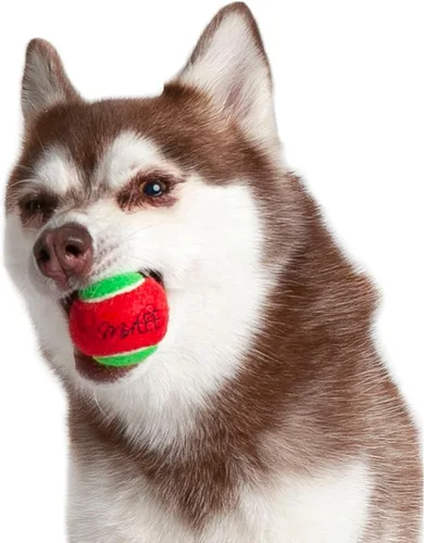 Vista 3 de Midlee Pelotas de tenis de Navidad para perros de 1.5 pulgadas, color rojo y verde, paquete de 12 Regalo de regalo con colores festivos chirriantes
