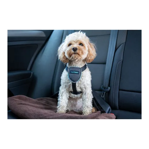 Vista 7 de Arnés para Perro Company of Animals CarSafe Negro XS