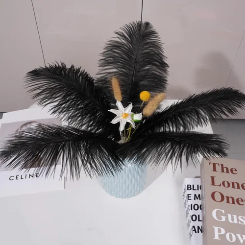 Vista 5 de Shekyeon - Plumas de avestruz (20 unidades, 7.9-9.8 in, 20 unidades)