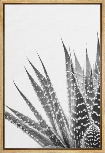 Vista 24 de Lienzo enmarcado para pared, diseño de rosa del desierto con pinchos, plantas florales suculentas, fotografía, arte moderno, primer plano