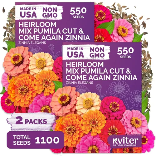 Vista 11 de KVITER Mezcla de 100 semillas de calabaza pequeñas (Cucurbita Pepo), paquete de 2 – Calabazas ornamentales de otoño, sin OGM – Semillas de reliquia