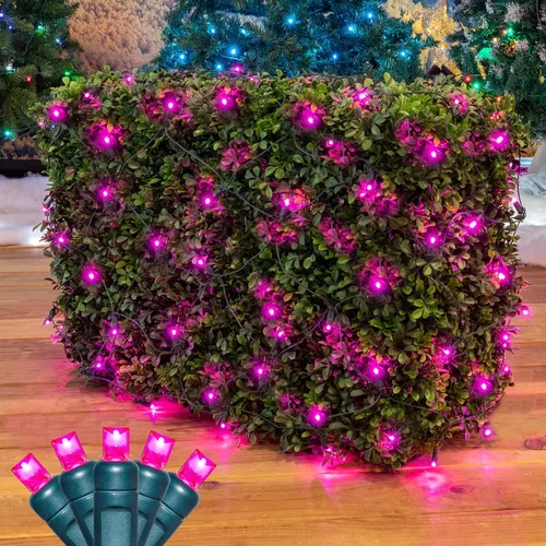 Vista 29 de Novelty Lights Luces de red de 2 x 10, 100 LED de color blanco cálido con espacio de 4 pulgadas, bombillas de gran angular de 0.197 in en cable