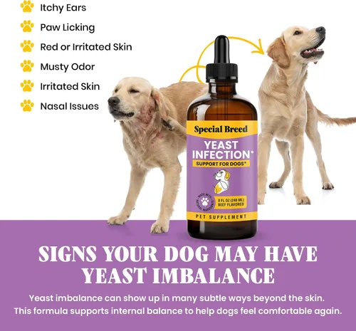 Vista 3 de Alivio natural de la infección por levaduras para perros – Tratamiento de picazón en la piel y los oídos, apoya la alergia y la salud inmunológica
