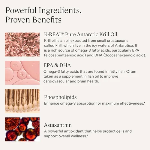 Vista 3 de Stonehenge Health Aceite de krill dinámico de 1600 mg – Suplemento antártico Omega-3 de triple fuerza con EPA, DHA, fosfolípidos y 2 mg