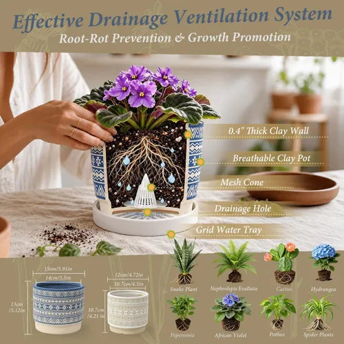 Vista 4 de Macetas pequeñas de cerámica para plantas, maceta decorativa