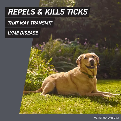 Vista 4 de FRONTLINE Shield - Tratamiento de pulgas y garrapatas para perros XS de 5 a 10 libras, cuenta de 3