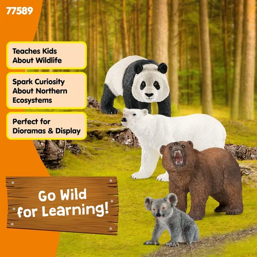 Vista 5 de Schleich Wild Life - Juego de 4 figuras de oso - Figura realista de panda, koala, grizzly y oso polar para niños y niños pequeños - Juguetes