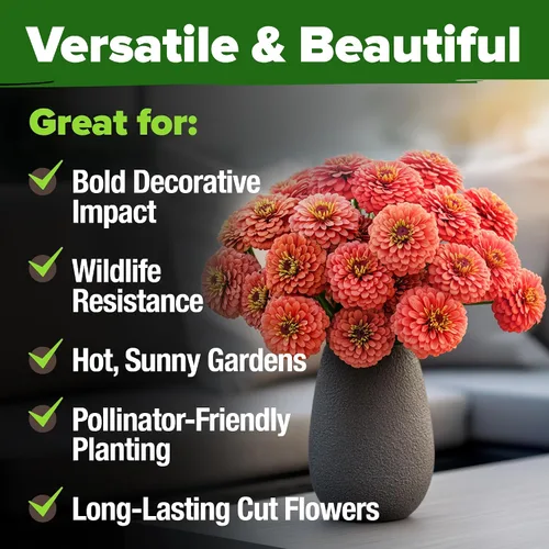Vista 61 de HOME GROWN Semillas de Hollyhock de doble mezcla de Chater, 200 semillas