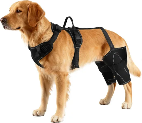 Vista 7 de Vivifying Arnés de soporte de cadera y piernas para perro para asistencia de movilidad, soporte ajustable para piernas traseras con asa de elevación