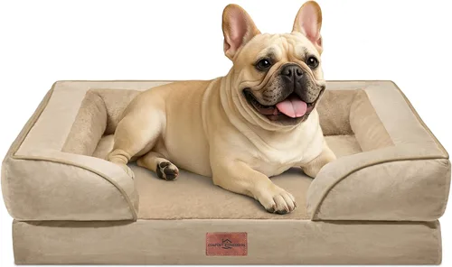 Vista 28 de Comfort Expression - Cama ortopédica para perros medianos, 28 x 19 pulgadas, cama impermeable y de apoyo de espuma con cojines removibles, sofá