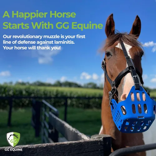 Vista 7 de GG Equine GreenGuard - Bozal de pastoreo para caballo, accesorios para caballos más ligeros y duraderos, cómodo bozal para caballos con flujo