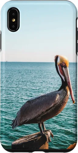 Vista 10 de iPhone 11 Pelican Case