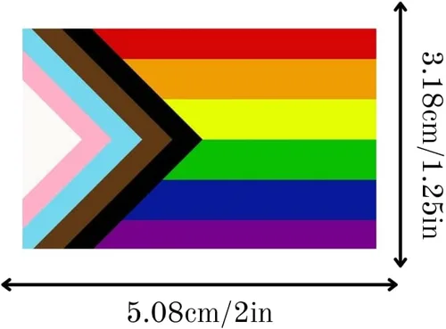 Vista 2 de 250 calcomanías de bandera arcoíris de Daniel Quasar Progress Pride para homosexuales, lesbianas, transgénero, conciencia LGBTQ, desfiles y eventos