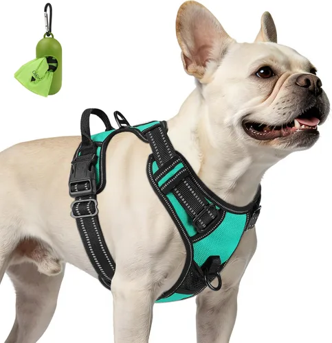Vista 23 de Joytale Arnés sin tirones para perros pequeños, chaleco reflectante para mascotas con clip frontal, arnés acolchado suave ajustable con asa de fácil