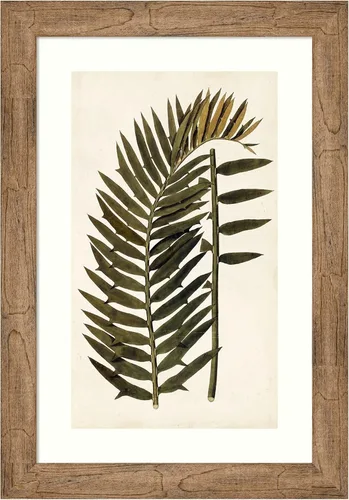Vista 8 de Amanti Art Vision Studio - Lienzo decorativo para pared, 24 x 17 pulgadas, variedades de hojas VIII, arte de pared de naturaleza, decoración