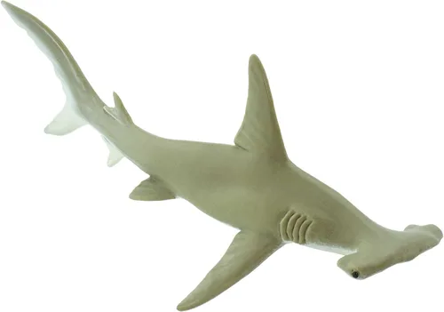 Vista 5 de Safari Ltd. Figura de tiburón Hammerhead – Figura detallada de plástico de 6.5 pulgadas – Divertido juguete educativo para niños, niñas y niños a