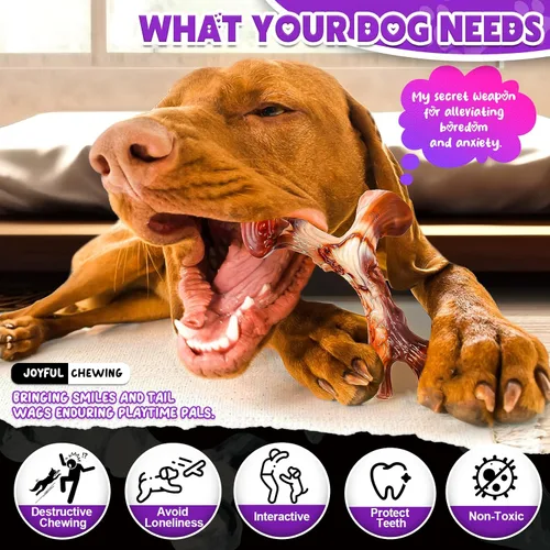 Vista 2 de Paquete de 4 juguetes masticables para perros para masticadores agresivos, juguetes resistentes e indestructibles para perros con sabor a tocino