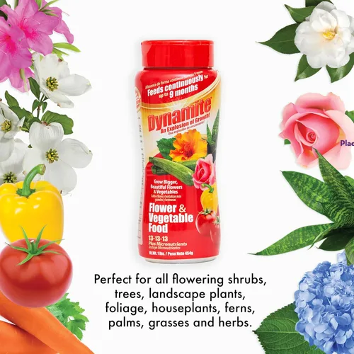 Vista 4 de Dynamite Alimento completo para plantas de flores y verduras1 lb