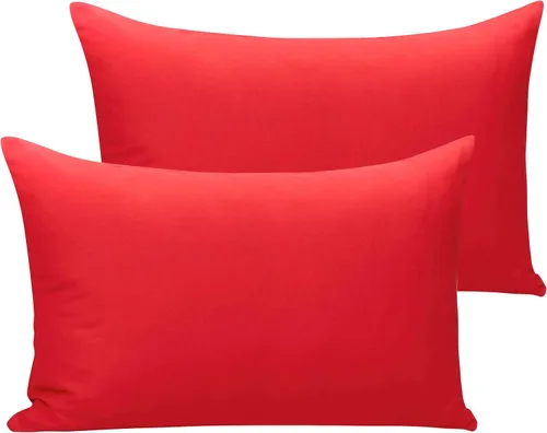 Vista 48 de NTBAY Juego de 2 fundas de almohada con cremallera para niños pequeños, 100% microfibra cepillada de 13 x 18 pulgadas, súper suaves y acogedoras