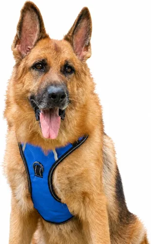 Vista 10 de Arnés antitirones para perro pequeño con 2 hebillas de liberación rápida y mango de fácil control, chaleco suave reflectante sin estrangulamiento
