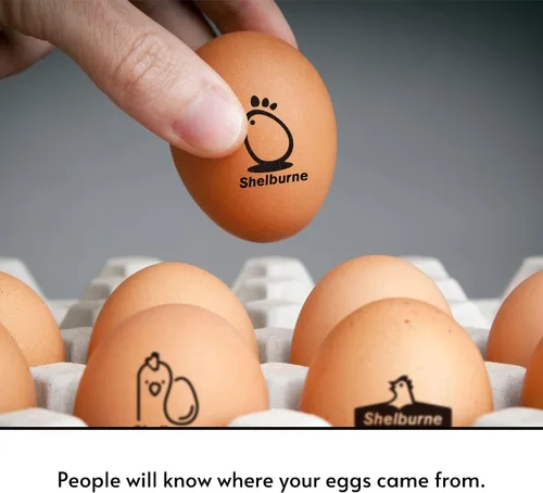 Vista 3 de Sellos de huevos para huevos frescos, Sello de huevo de pollo personalizado, Sellos de huevos personalizados, Sellos de huevos para huevos frescos