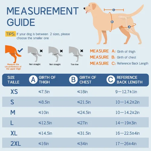 Vista 6 de Rodillera de perro para pierna trasera Acl, soporte de pierna de perro para pierna trasera, soporte de cadera ajustable para reducir el dolor
