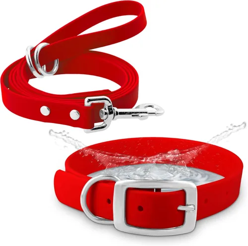 Vista 9 de Regal Dog Products Collar pequeño negro para perros con doble hebilla resistente y anillo en D Collar de perro ajustable de Biothane