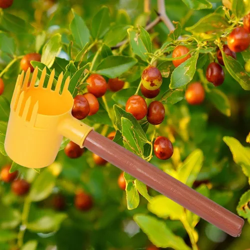 Vista 5 de Herramienta para recoger frutas para dátiles, nueces, castañas, cosechadora de frutas portátil ligera con mango de madera de 15.16 pulgadas
