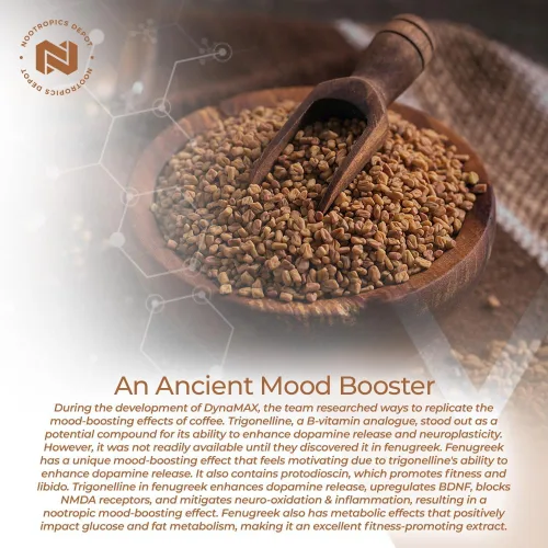 Vista 5 de Nootropics Depot Cápsulas de extracto de fenogreco 500 mg 60 ct 3% de trigonelina, 1% de protodioscina Trigonella foenum-graecum Estado