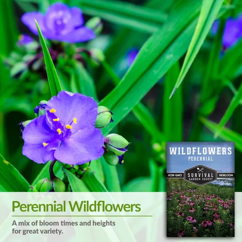 Vista 3 de Survival Garden Seeds Semillas de flores silvestres perennes para plantar, 1 paquete con instrucciones para cultivar flores silvestres en el jardín